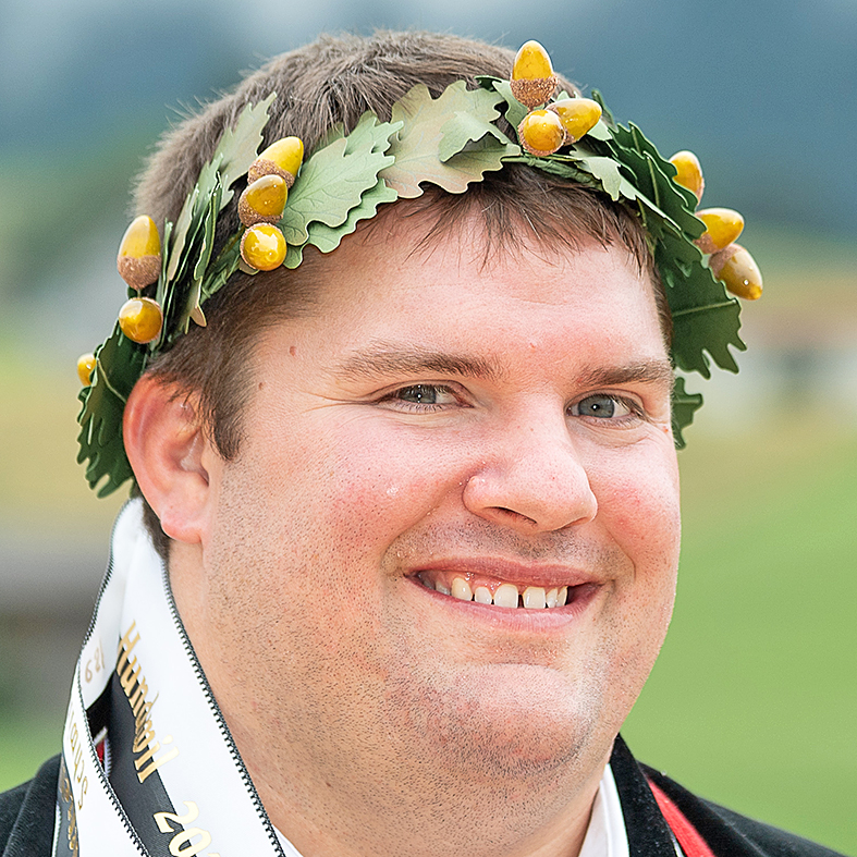 Mystery Schwinger